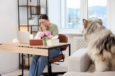 Photo of Woman suffering from allergy while working and her dog at home, selective focus