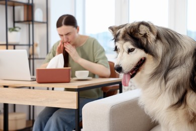 Photo of Woman suffering from allergy while working and her dog at home, selective focus