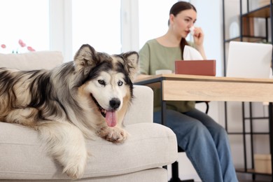Photo of Woman suffering from allergy while working and her dog at home, selective focus
