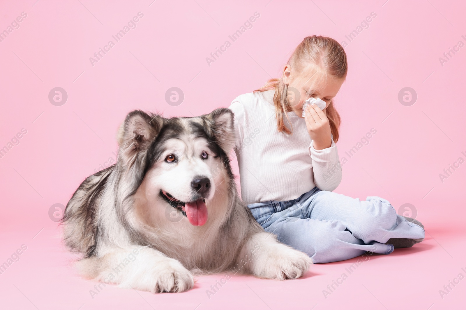 Girl suffering from allergy with her dog on pink background Photo of Girl suffering from allergy with her dog on pink background