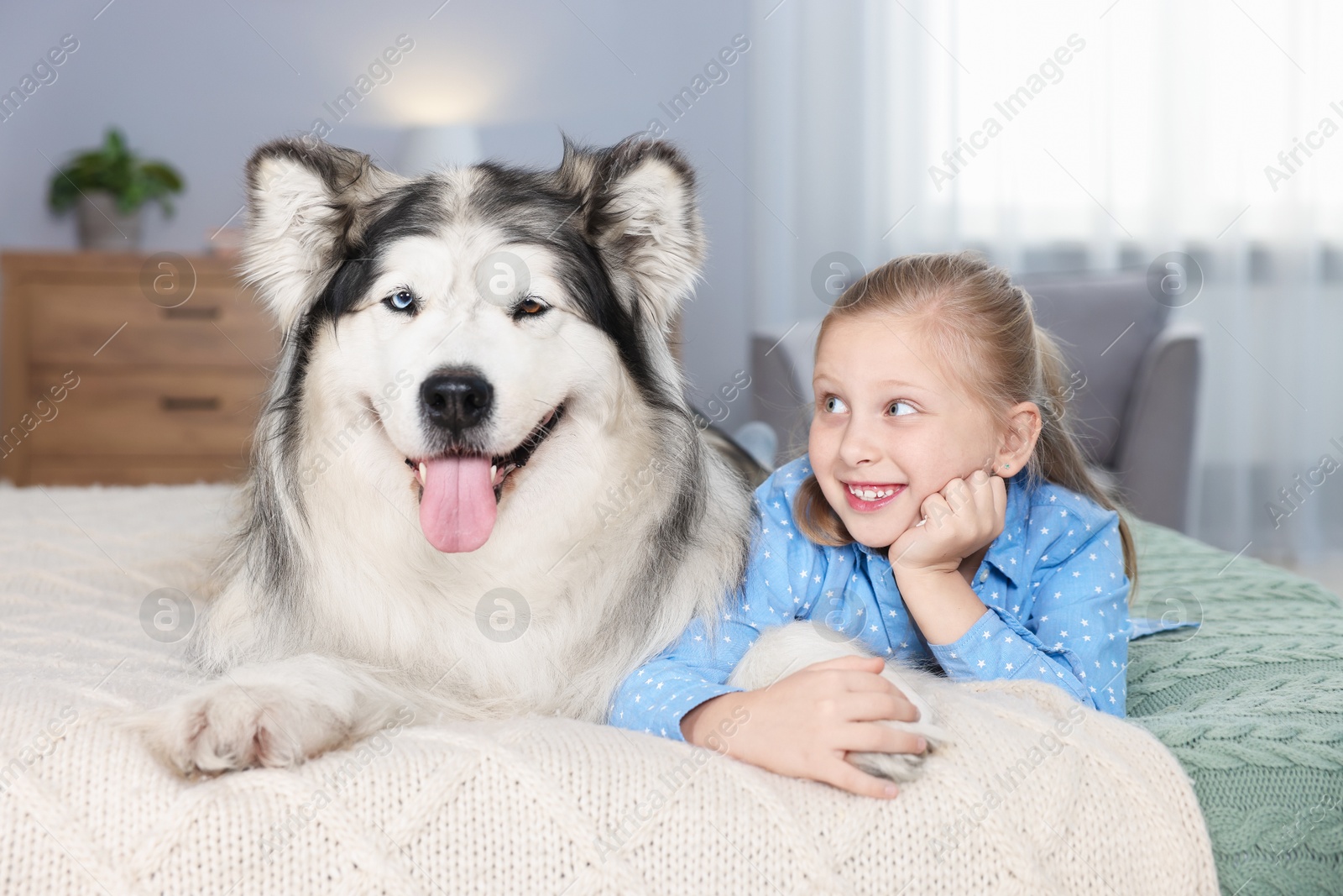 Little girl and cute dog on bed at home Photo of Little girl and cute dog on bed at home