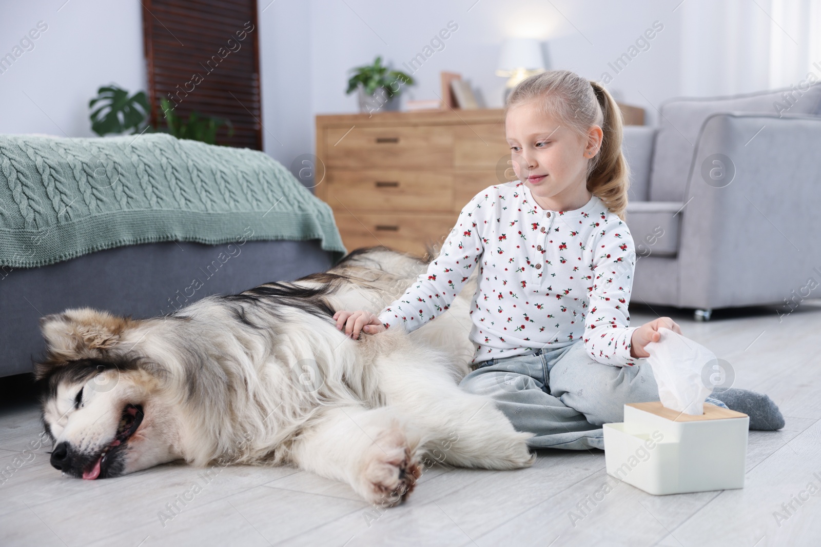 Girl suffering from allergy with her dog at home Photo of Girl suffering from allergy with her dog at home