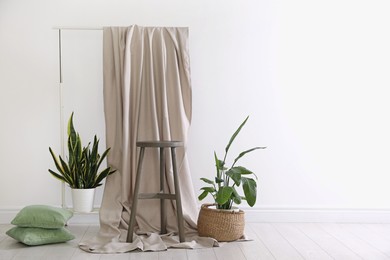 Photo of Photo zone with different potted plants in studio