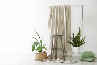 Photo of Photo zone with different potted plants in studio