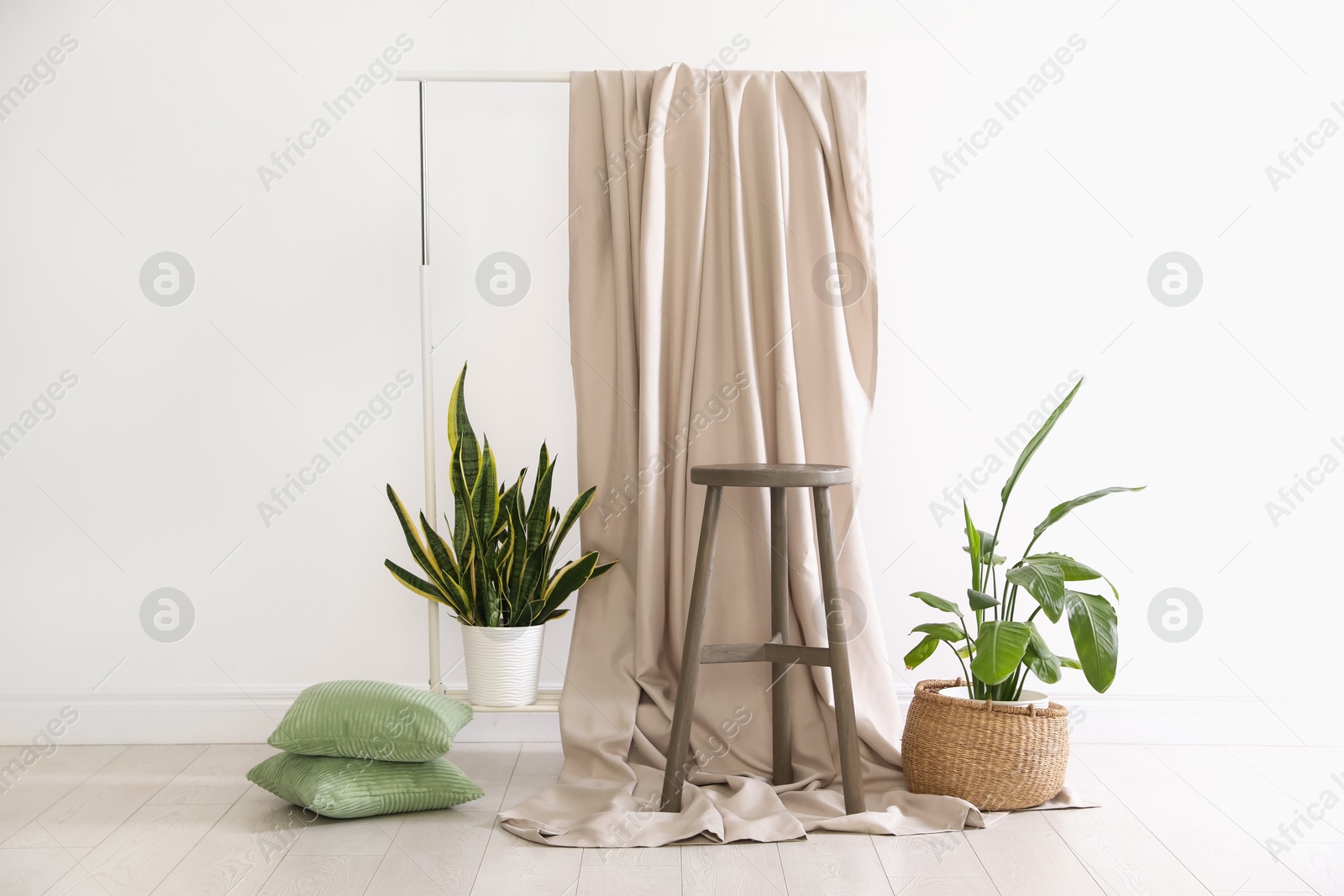 Photo of Photo zone with different potted plants in studio