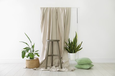 Photo of Photo zone with different potted plants in studio