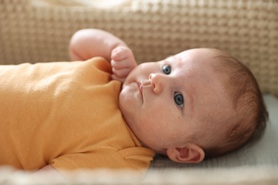 Photo of Cute newborn baby in bassinet, closeup view