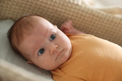 Photo of Cute newborn baby in bassinet, closeup view