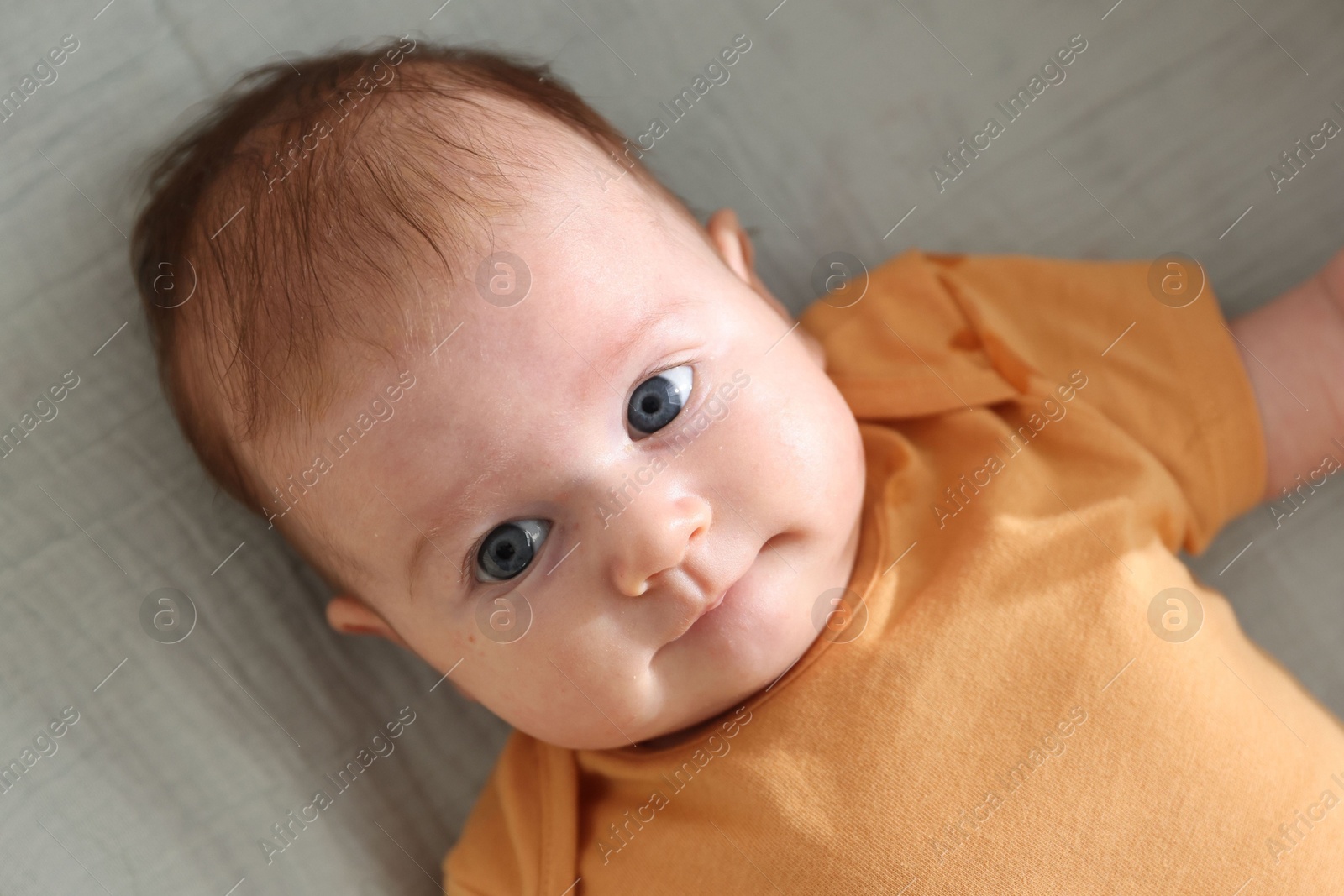 Cute newborn baby in bassinet, top view Photo of Cute newborn baby in bassinet, top view