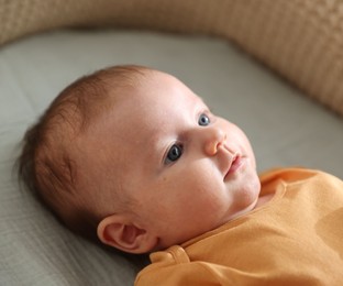 Photo of Cute newborn baby in bassinet, closeup view