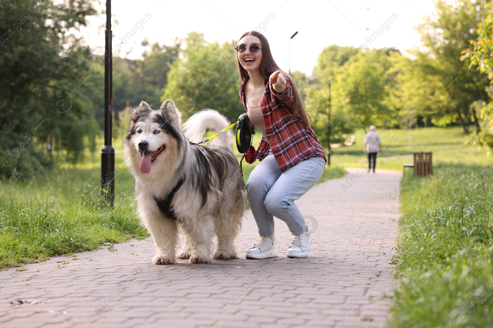 Happy woman showing something to her cute Alaskan malamute dog in park Photo of Happy woman showing something to her cute Alaskan malamute dog in park