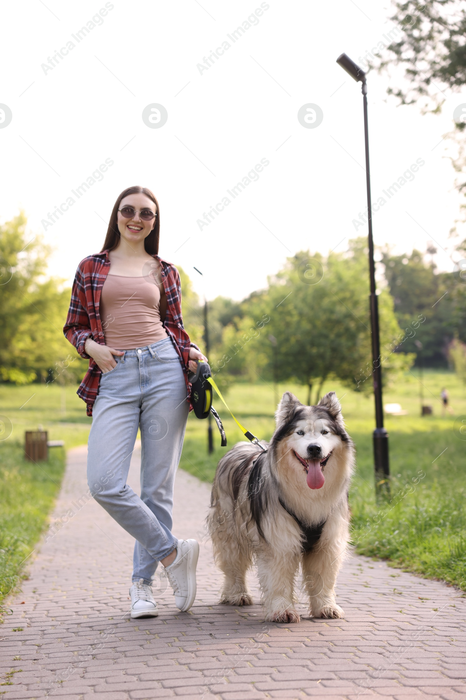 Happy woman walking with her cute Alaskan malamute dog in park Photo of Happy woman walking with her cute Alaskan malamute dog in park