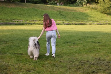 Photo of Woman walking with her cute Alaskan malamute dog on green grass outdoors, back view. Space for text