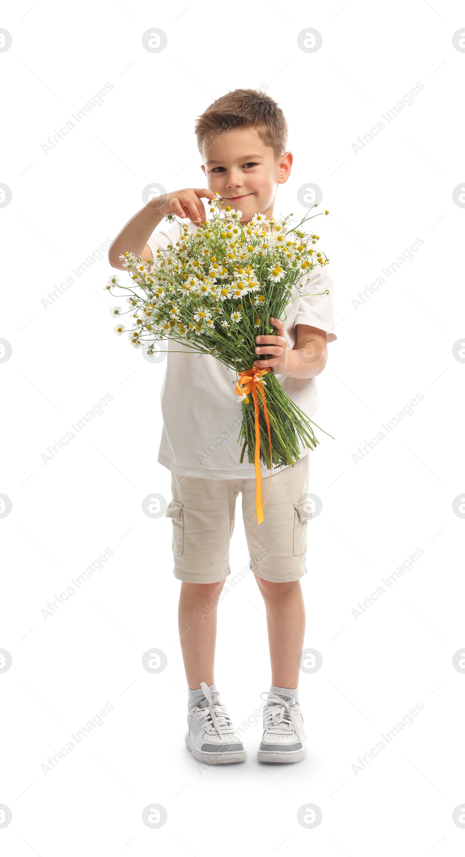 Cute little boy with bouquet of beautiful chamomile flowers on white background Photo of Cute little boy with bouquet of beautiful chamomile flowers on white background