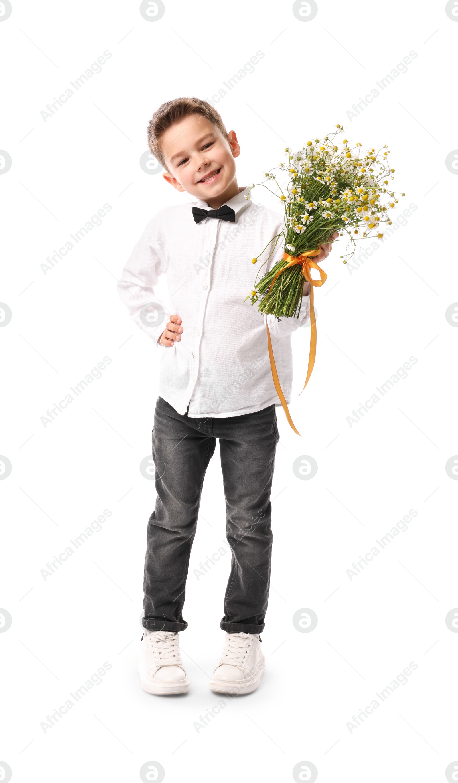 Smiling little boy giving bouquet of beautiful chamomile flowers on white background Photo of Smiling little boy giving bouquet of beautiful chamomile flowers on white background