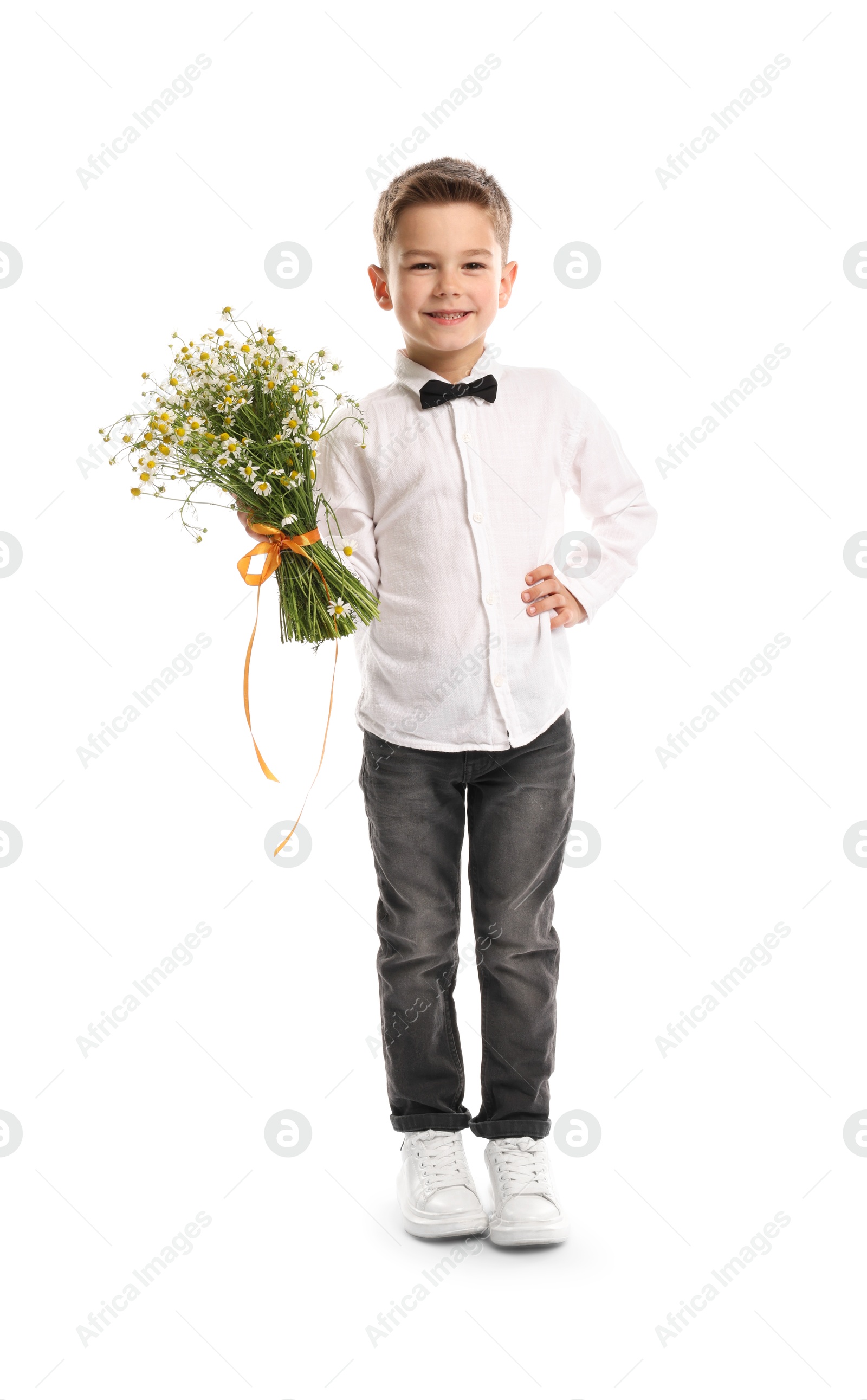 Smiling little boy giving bouquet of beautiful chamomile flowers on white background Photo of Smiling little boy giving bouquet of beautiful chamomile flowers on white background
