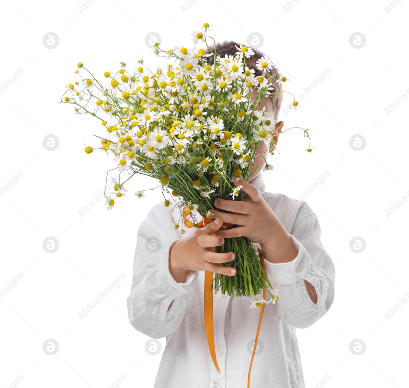 Little boy hiding behind bouquet of beautiful chamomile flowers on white background Photo of Little boy hiding behind bouquet of beautiful chamomile flowers on white background