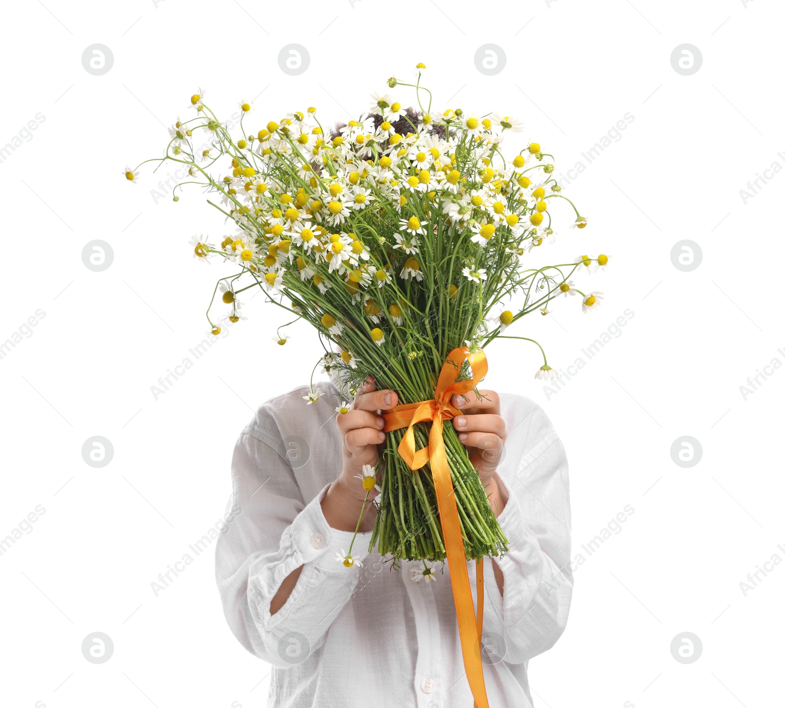 Little boy hiding behind bouquet of beautiful chamomile flowers on white background Photo of Little boy hiding behind bouquet of beautiful chamomile flowers on white background