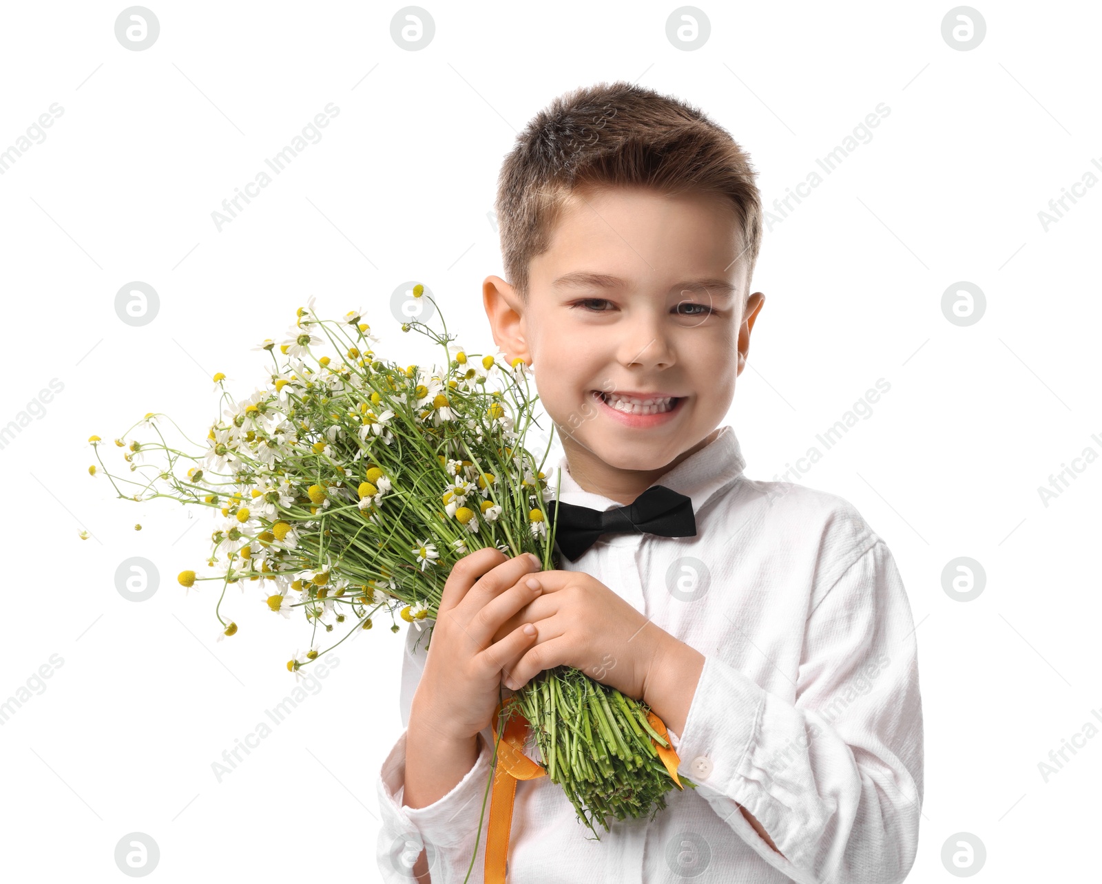 Smiling little boy with bouquet of beautiful chamomile flowers on white background Photo of Smiling little boy with bouquet of beautiful chamomile flowers on white background