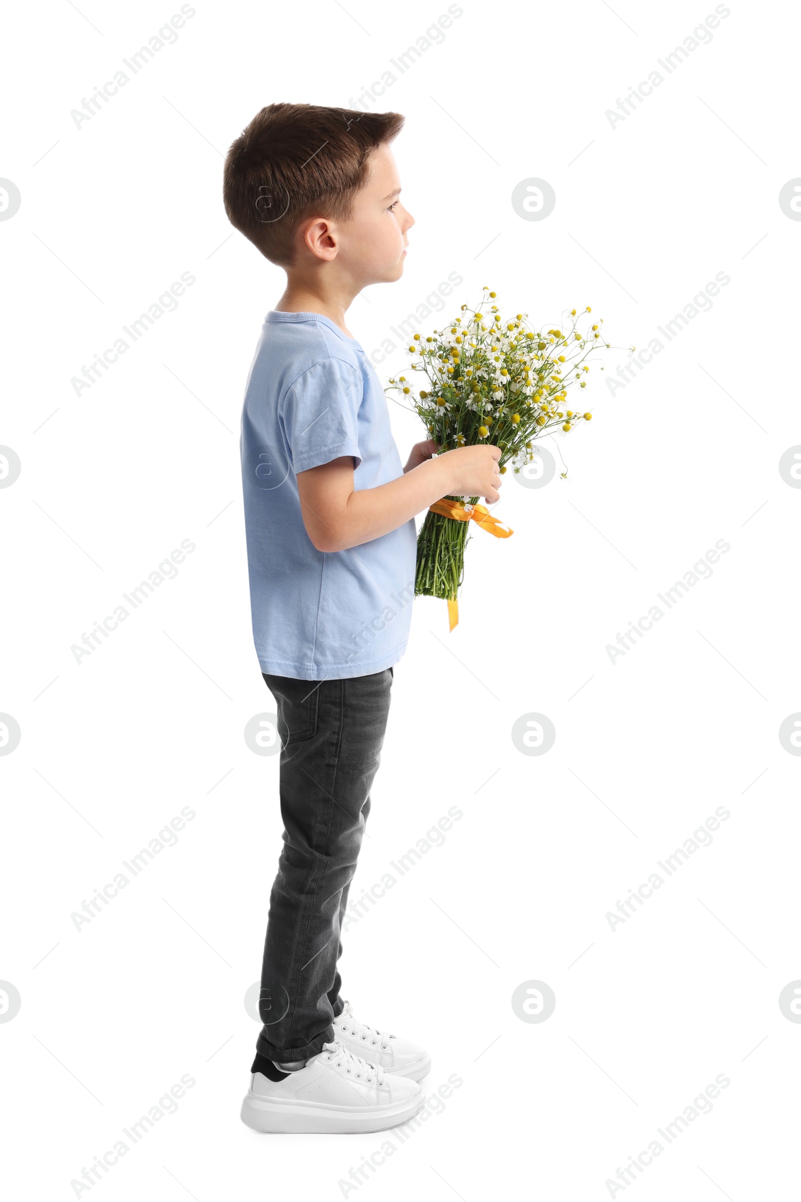 Little boy with bouquet of beautiful chamomile flowers on white background Photo of Little boy with bouquet of beautiful chamomile flowers on white background