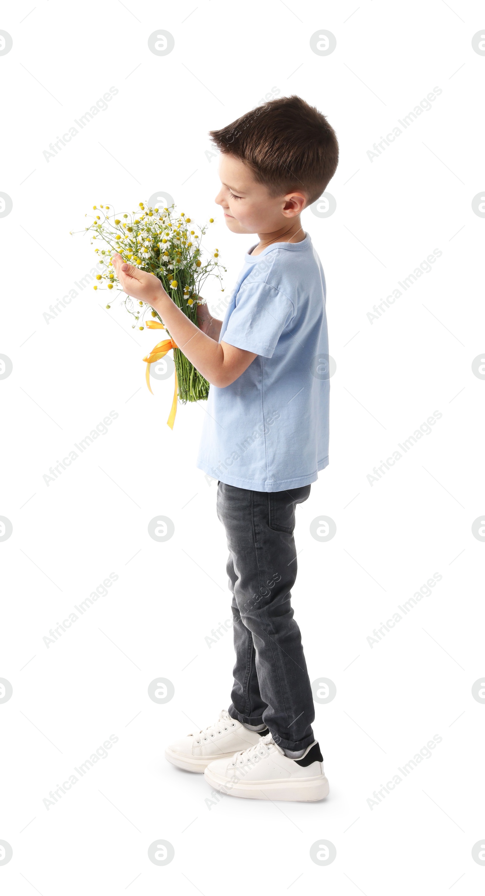 Little boy with bouquet of beautiful chamomile flowers on white background Photo of Little boy with bouquet of beautiful chamomile flowers on white background