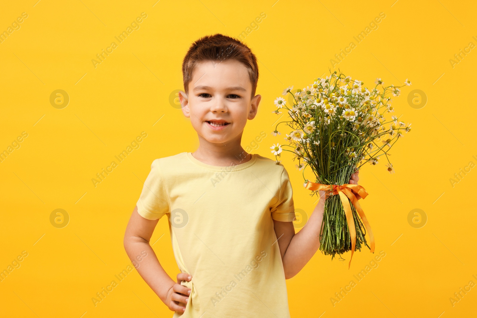 Smiling little boy with bouquet of beautiful chamomile flowers on yellow background Photo of Smiling little boy with bouquet of beautiful chamomile flowers on yellow background