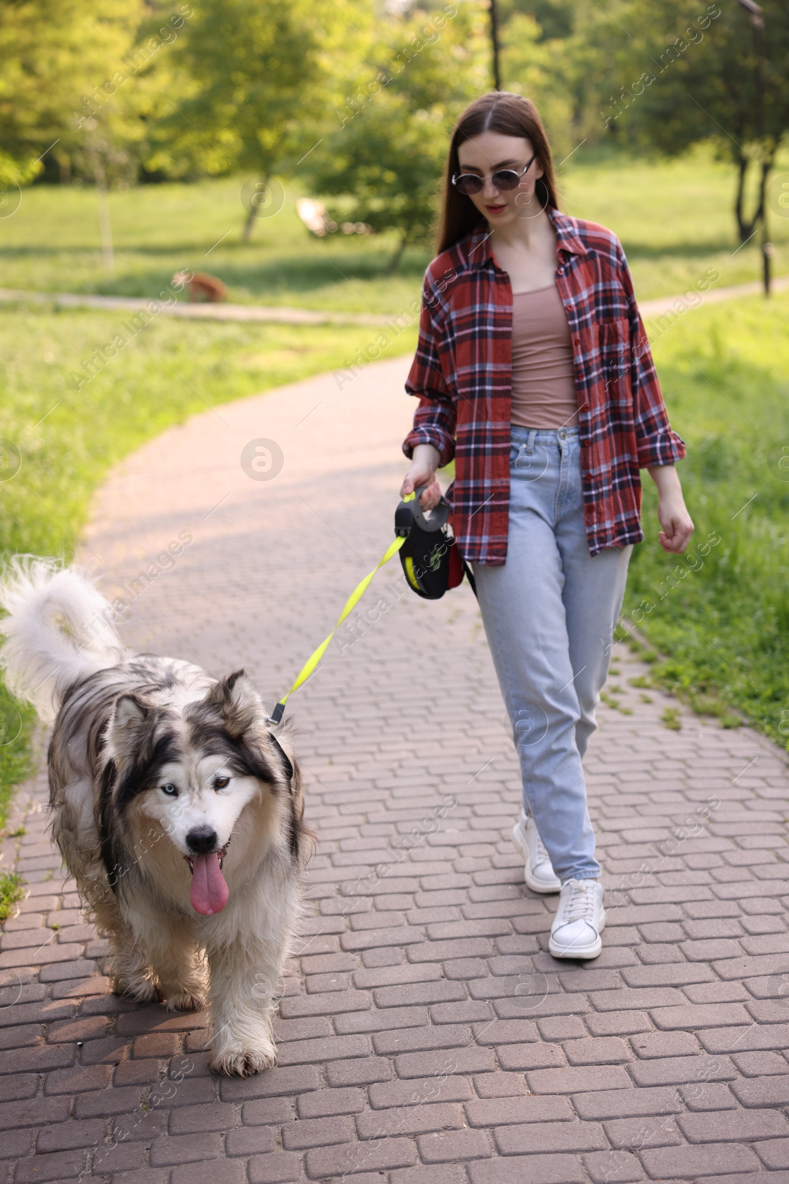 Woman walking with her cute Alaskan malamute dog in park Photo of Woman walking with her cute Alaskan malamute dog in park