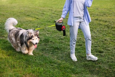 Photo of Woman walking with her cute Alaskan malamute dog on green grass outdoors, closeup