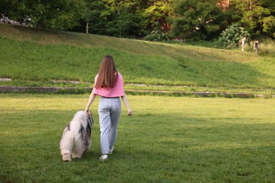 Photo of Woman walking with her cute Alaskan malamute dog on green grass outdoors, back view. Space for text