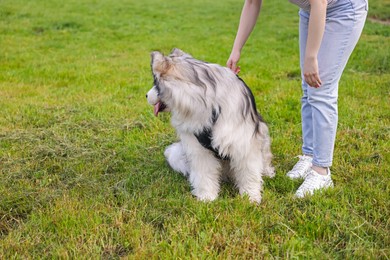 Photo of Woman with her cute Alaskan malamute dog on green grass outdoors, closeup. Space for text