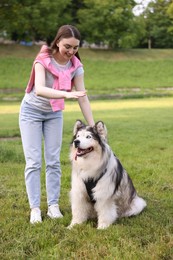 Photo of Smiling woman training her cute Alaskan malamute dog on green grass outdoors
