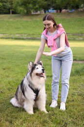 Photo of Smiling woman training her cute Alaskan malamute dog on green grass outdoors