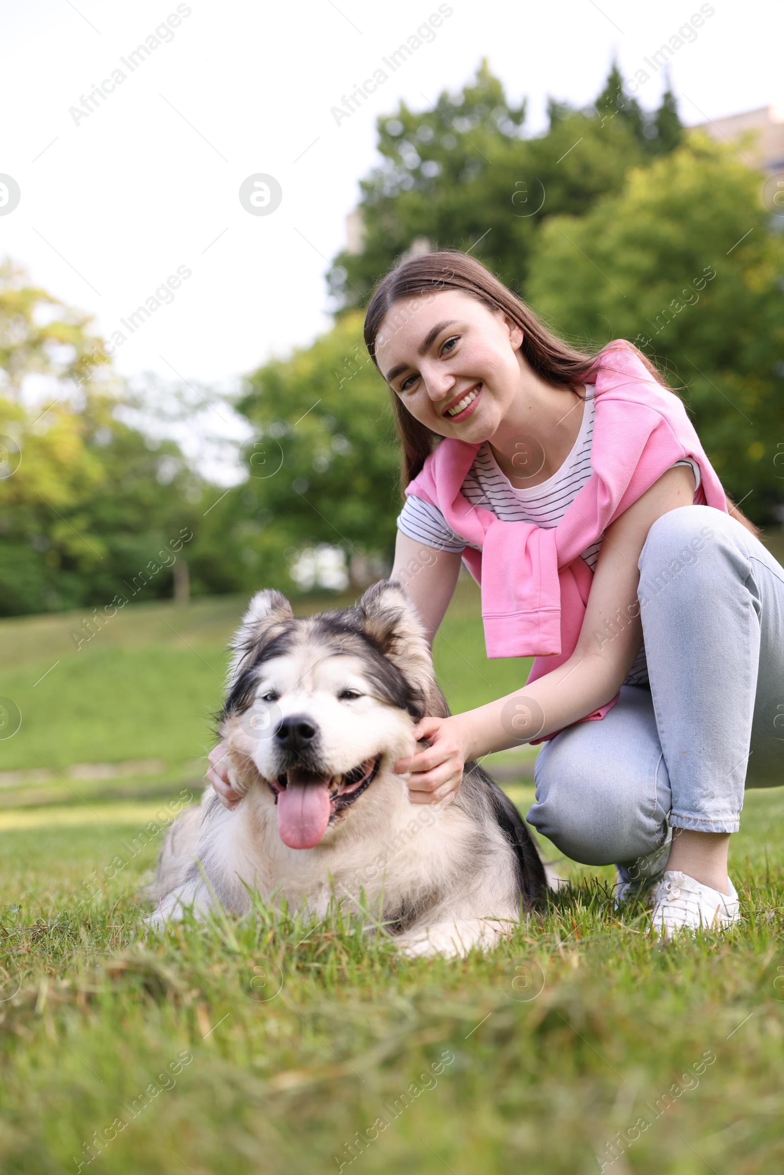 Smiling woman with her cute Alaskan malamute dog on green grass outdoors Photo of Smiling woman with her cute Alaskan malamute dog on green grass outdoors