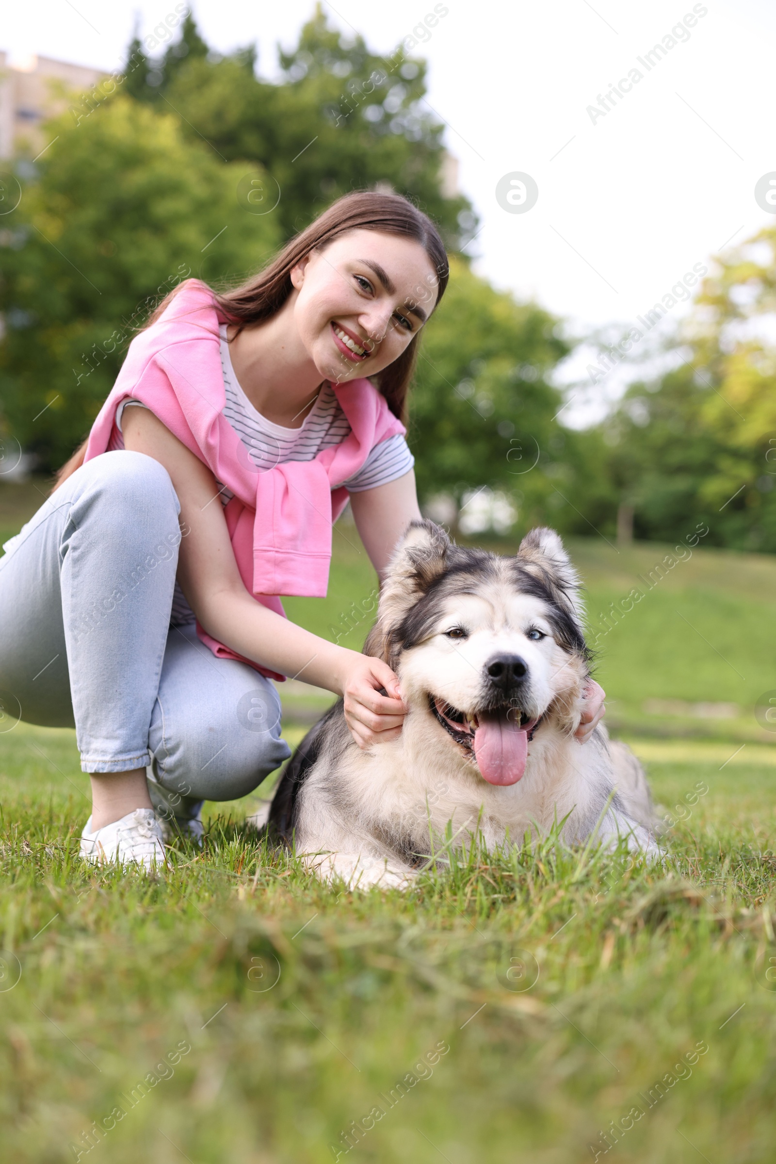 Smiling woman with her cute Alaskan malamute dog on green grass outdoors Photo of Smiling woman with her cute Alaskan malamute dog on green grass outdoors