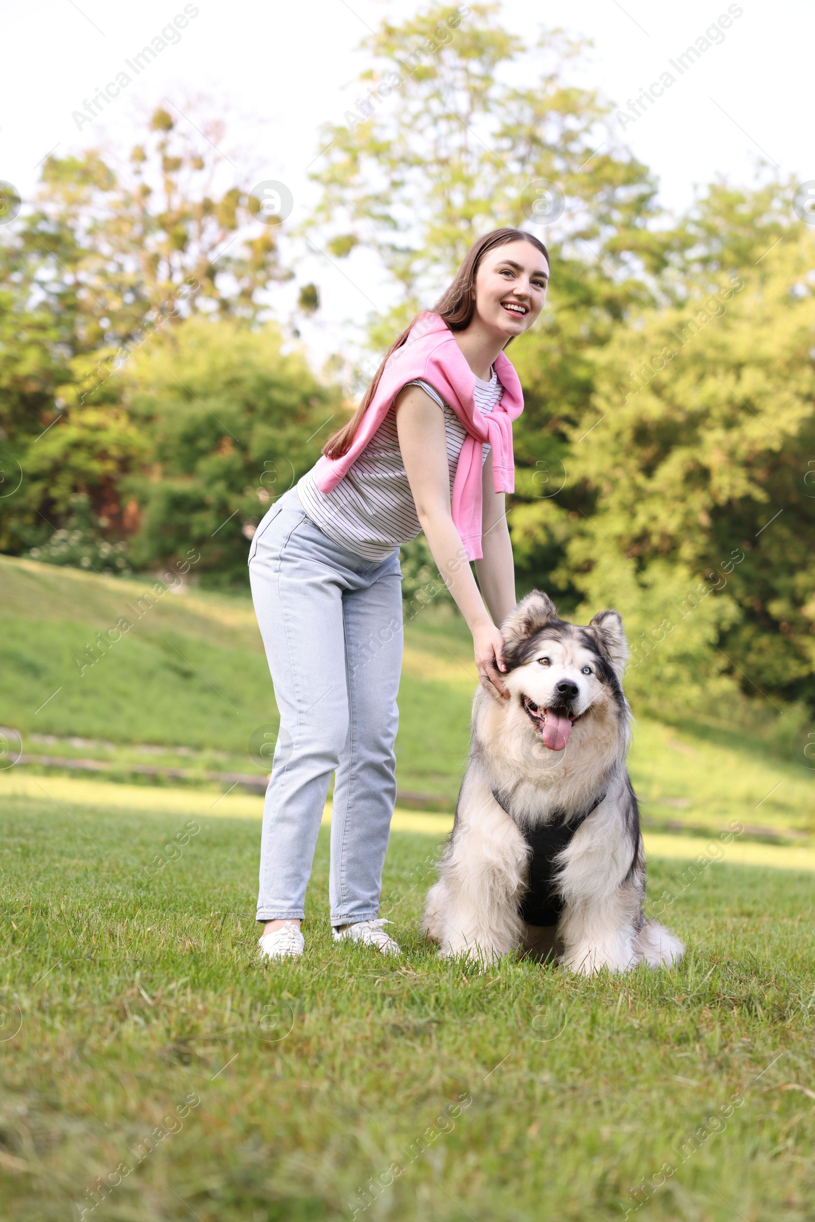 Smiling woman with her cute Alaskan malamute dog on green grass outdoors, low angle view Photo of Smiling woman with her cute Alaskan malamute dog on green grass outdoors, low angle view