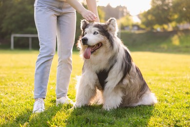 Photo of Woman with her cute Alaskan malamute dog on green grass outdoors in morning, closeup