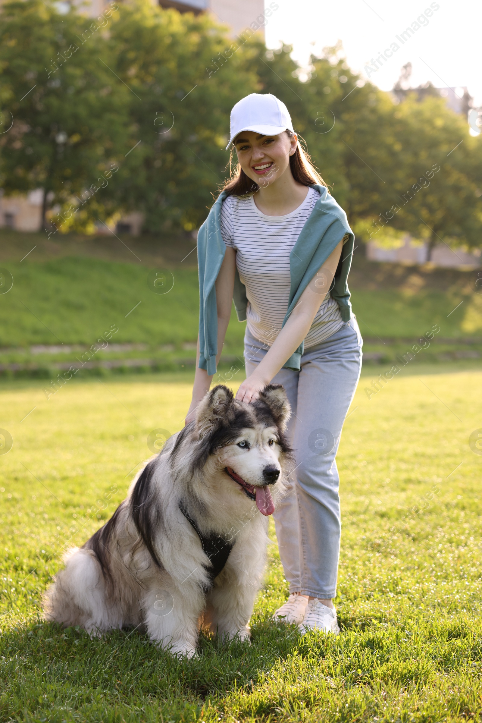 Smiling woman with her cute Alaskan malamute dog on green grass outdoors in morning Photo of Smiling woman with her cute Alaskan malamute dog on green grass outdoors in morning