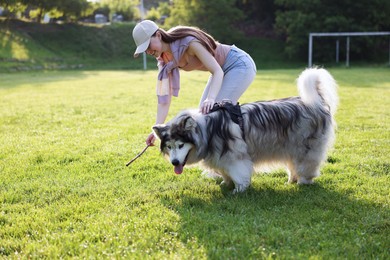 Photo of Smiling woman giving stick to her cute Alaskan malamute dog on green grass outdoors in morning
