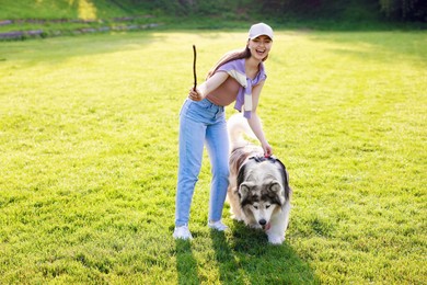 Photo of Happy woman with stick and her cute Alaskan malamute dog walking on green grass outdoors in morning