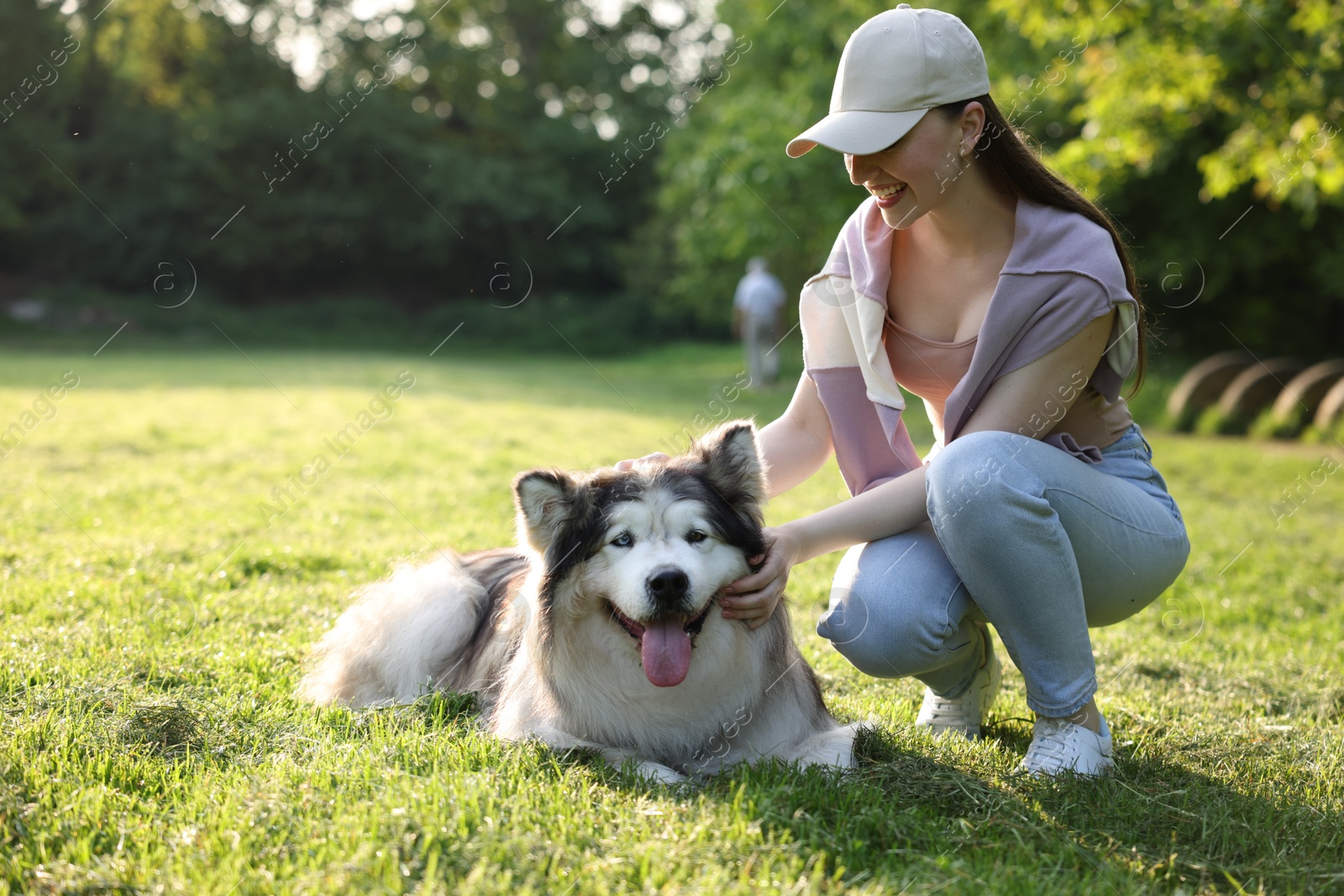 Smiling woman with her cute Alaskan malamute dog on green grass outdoors in morning Photo of Smiling woman with her cute Alaskan malamute dog on green grass outdoors in morning