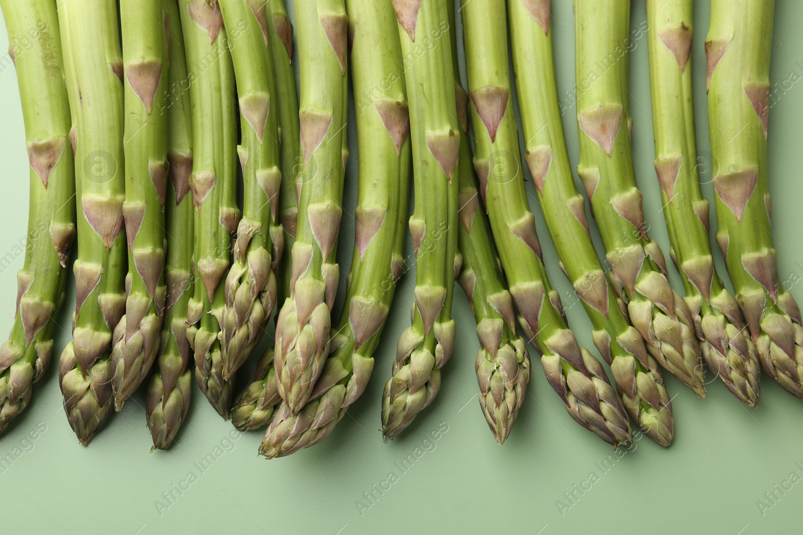 Fresh ripe raw asparagus on green background, closeup Photo of Fresh ripe raw asparagus on green background, closeup