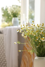 Photo of Beautiful chamomile flowers in vase at home, closeup