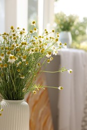 Photo of Beautiful chamomile flowers in vase at home, closeup