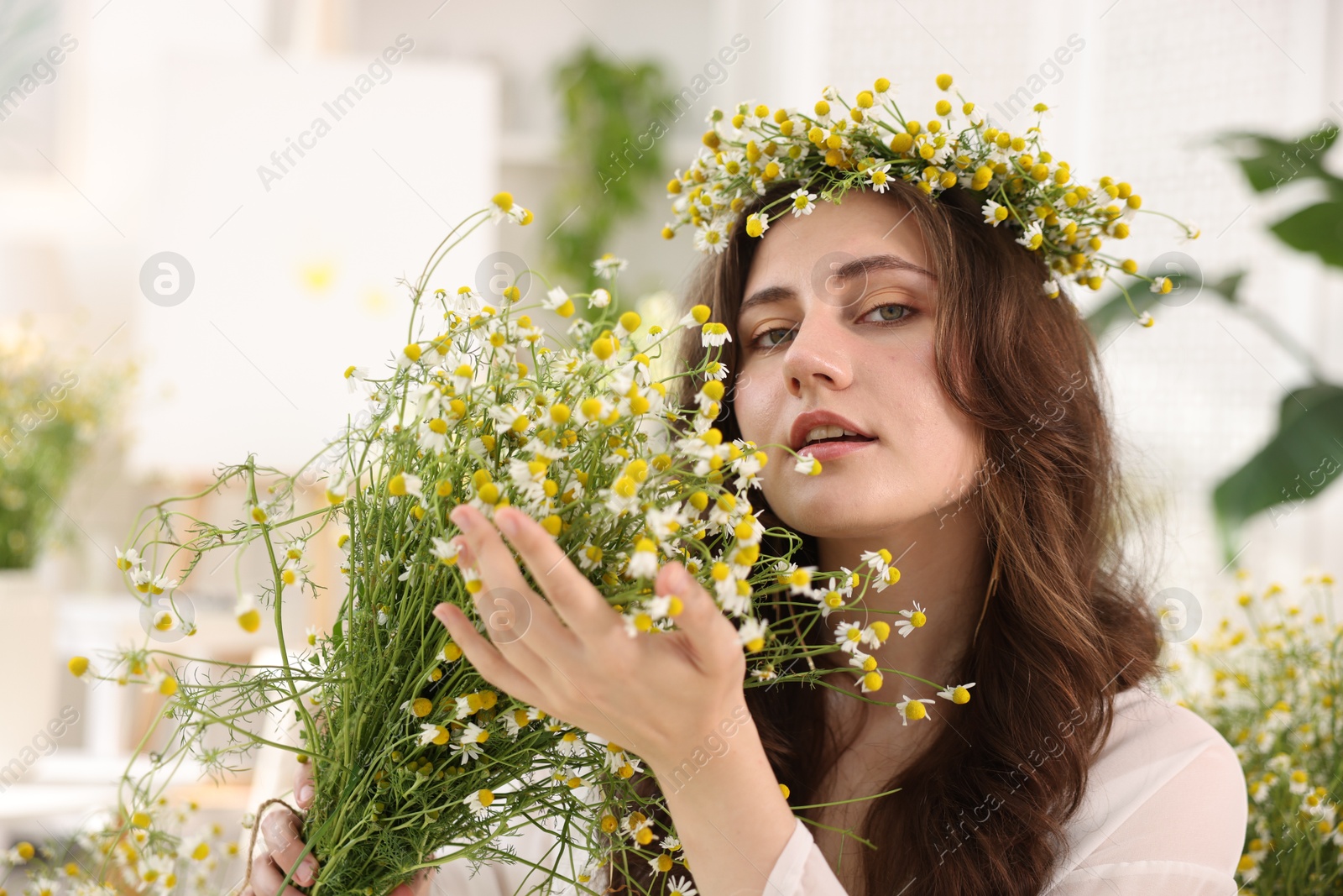 Portrait of beautiful woman with chamomile flowers indoors Photo of Portrait of beautiful woman with chamomile flowers indoors