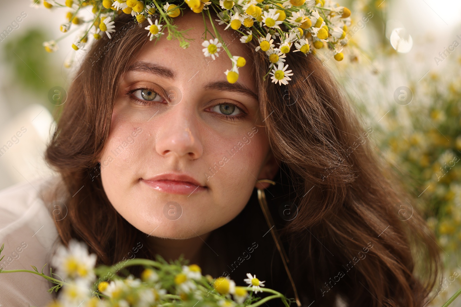Portrait of beautiful woman with chamomile flowers indoors Photo of Portrait of beautiful woman with chamomile flowers indoors