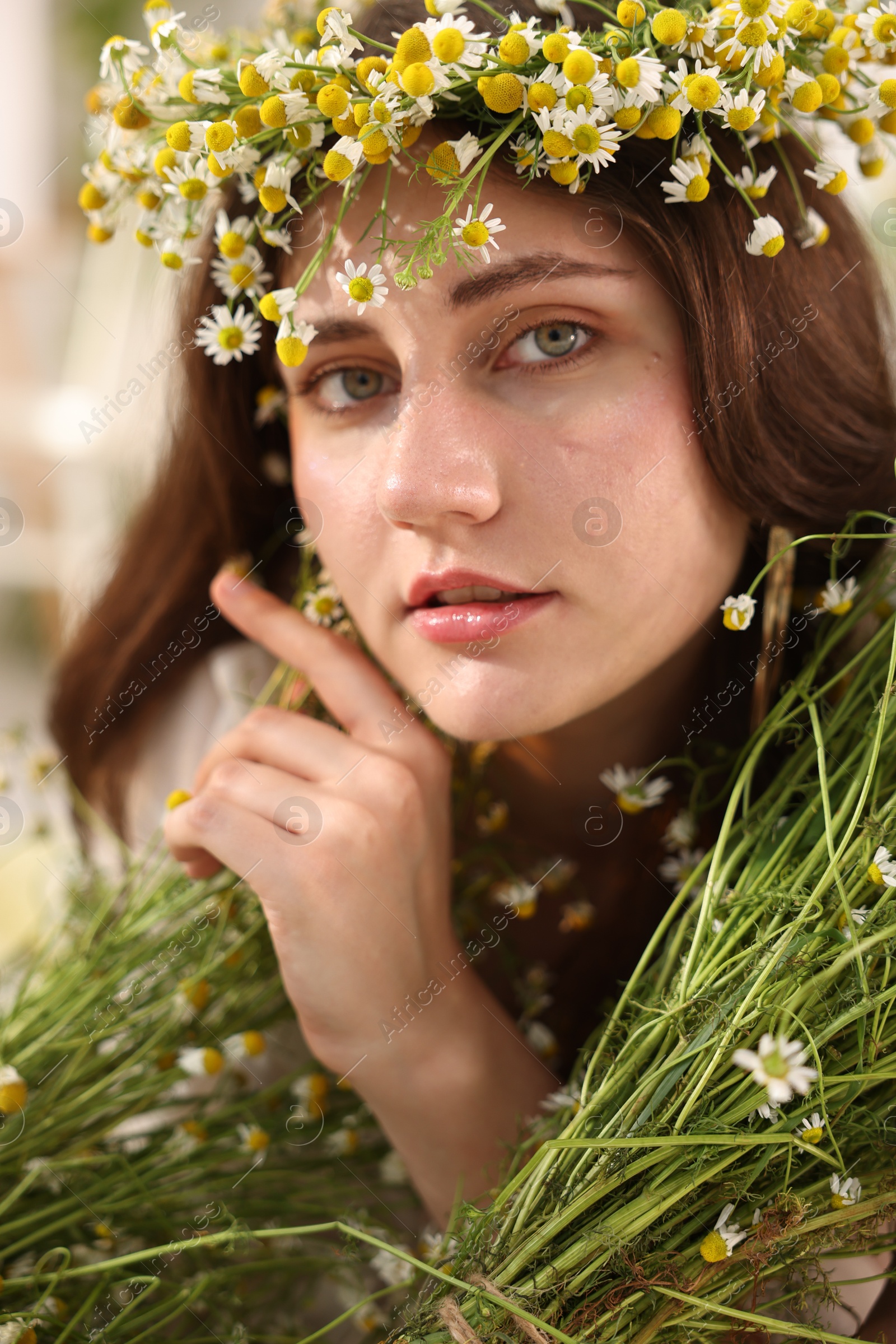 Portrait of beautiful woman with chamomile flowers indoors Photo of Portrait of beautiful woman with chamomile flowers indoors