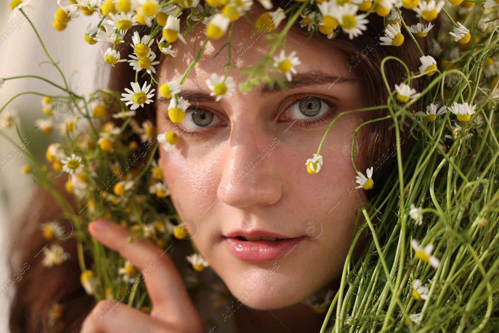 Portrait of beautiful woman with chamomile flowers, closeup Photo of Portrait of beautiful woman with chamomile flowers, closeup