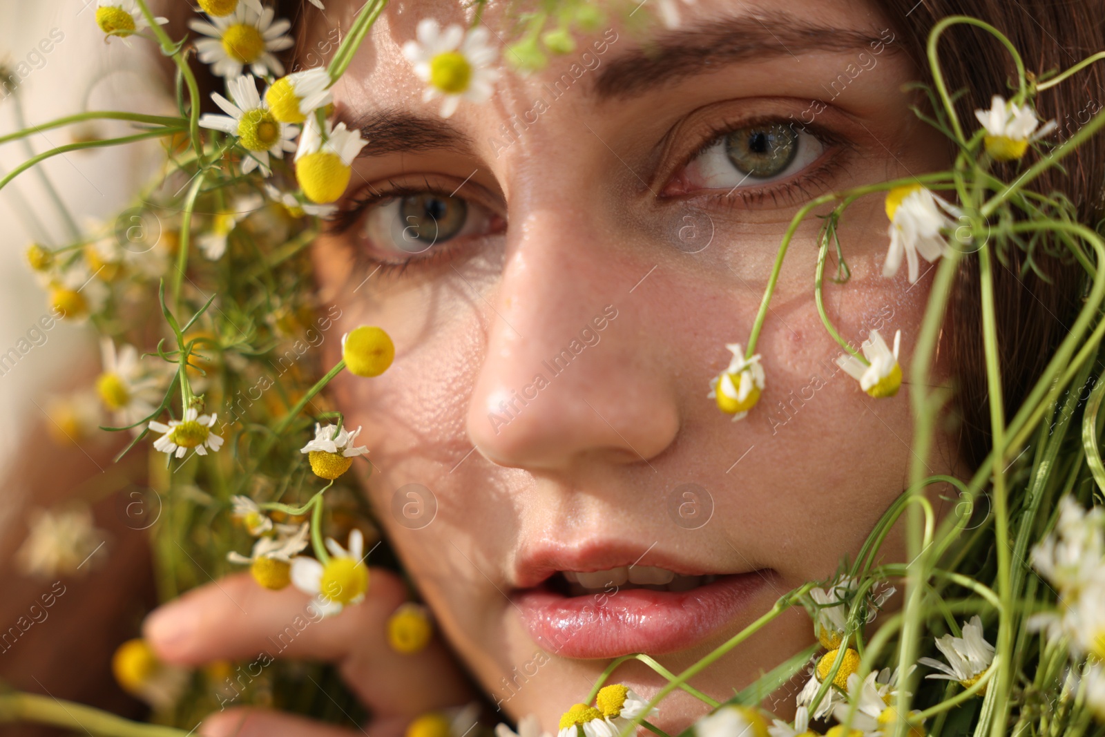 Portrait of beautiful woman with chamomile flowers, closeup Photo of Portrait of beautiful woman with chamomile flowers, closeup