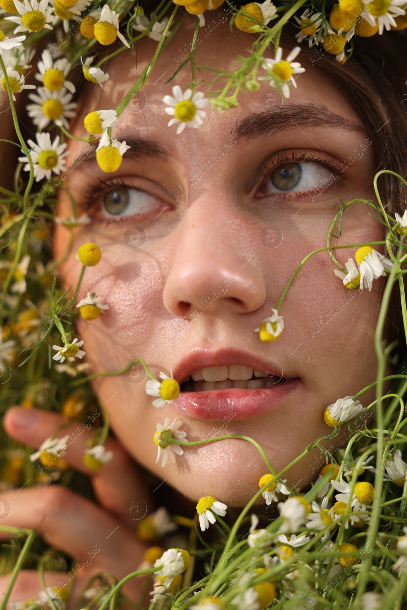 Portrait of beautiful woman with chamomile flowers, closeup Photo of Portrait of beautiful woman with chamomile flowers, closeup