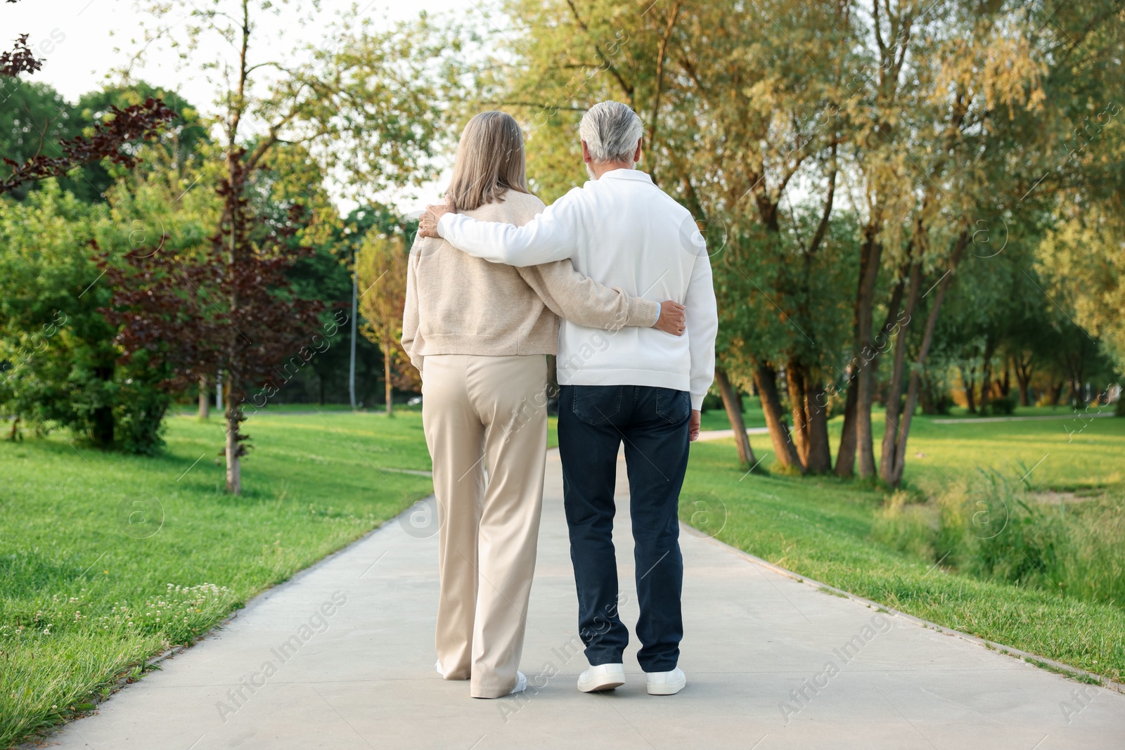 Lovely senior couple walking together in park, back view Photo of Lovely senior couple walking together in park, back view
